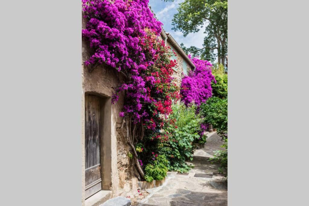 Coquet 2 Pieces Coeur Vieil Antibes Appartement Buitenkant foto